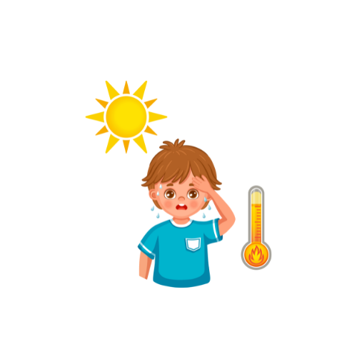 Temperature Converter
